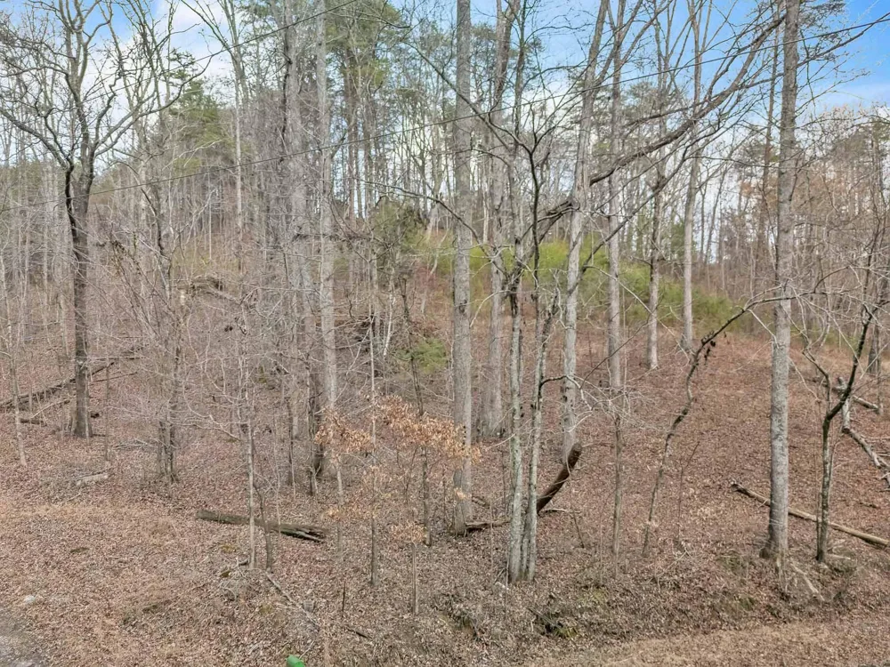 190 Firetower Road McDonald, TN 37353
