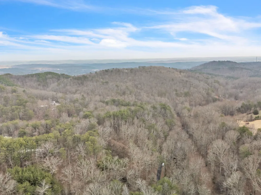 190 Firetower Road McDonald, TN 37353