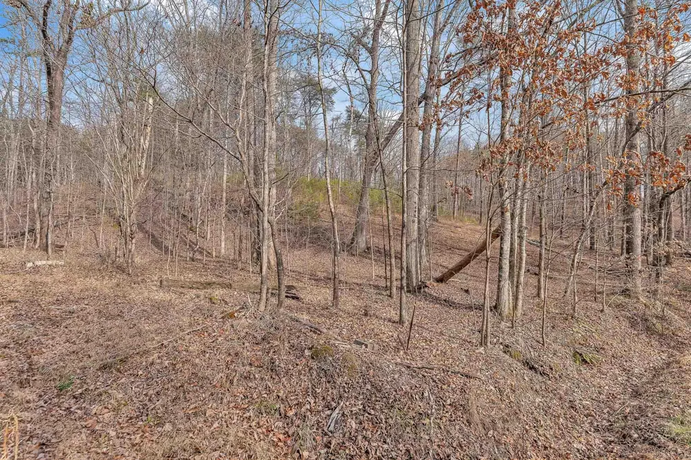 190 Firetower Road McDonald, TN 37353