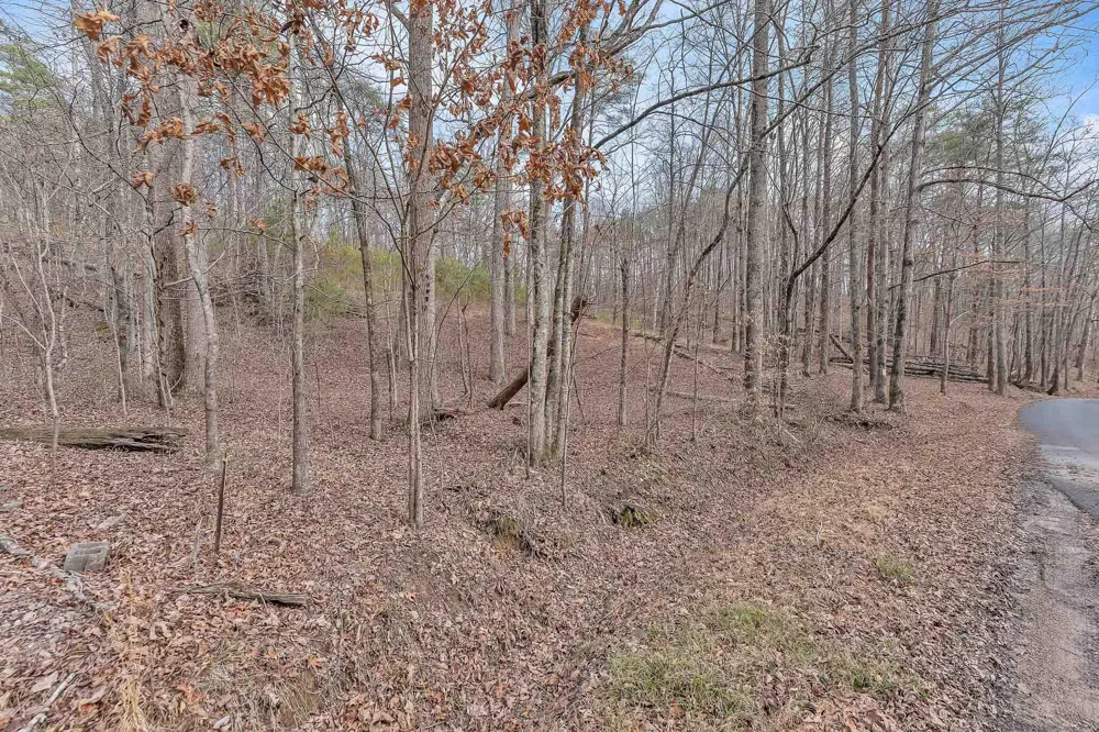 190 Firetower Road McDonald, TN 37353