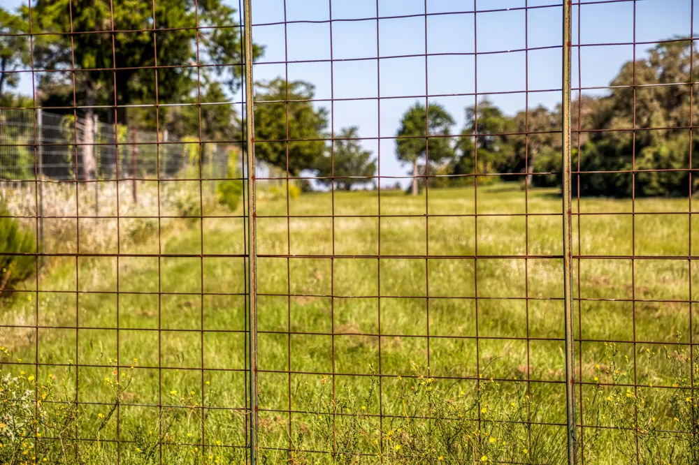 3336 County Road 326 Lexington, TX 78947