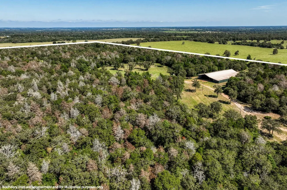3336 County Road 326 Lexington, TX 78947