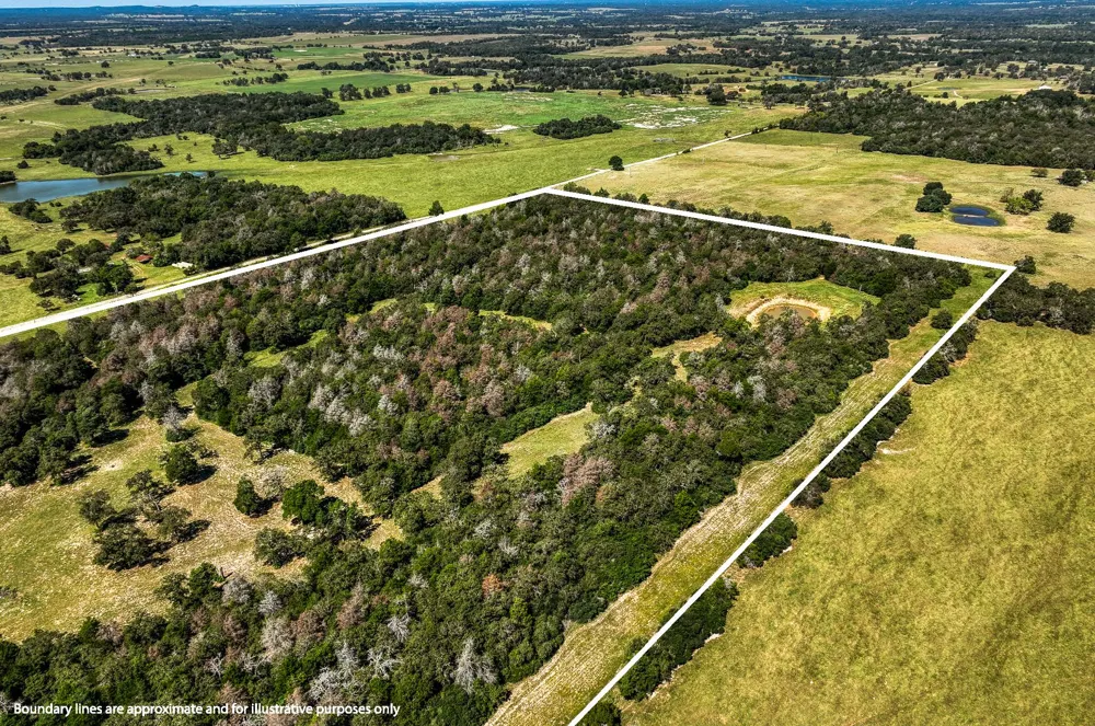 3336 County Road 326 Lexington, TX 78947
