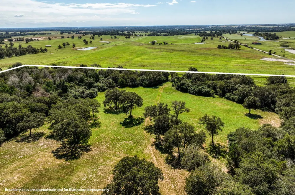 3336 County Road 326 Lexington, TX 78947