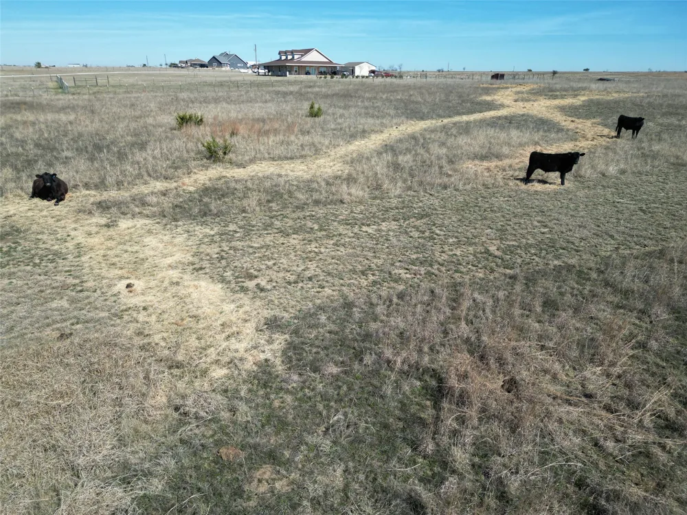 2238 County Road 2109 Lometa, TX 76853