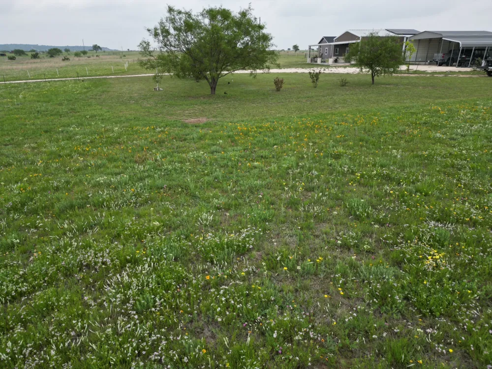 2238 County Road 2109 Lometa, TX 76853