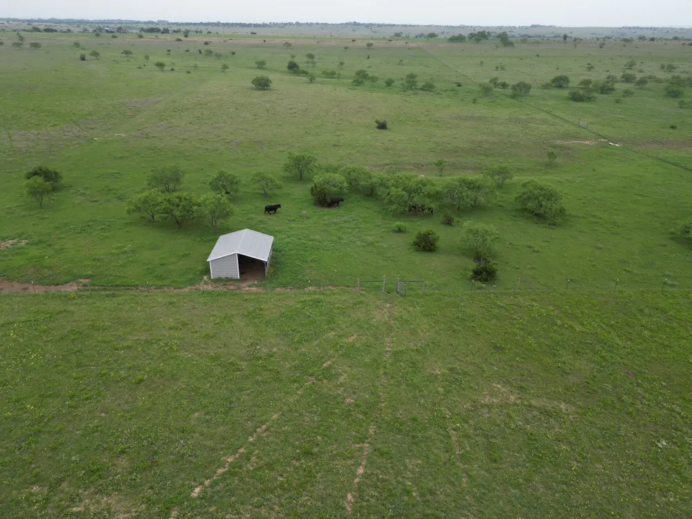 2238 County Road 2109 Lometa, TX 76853