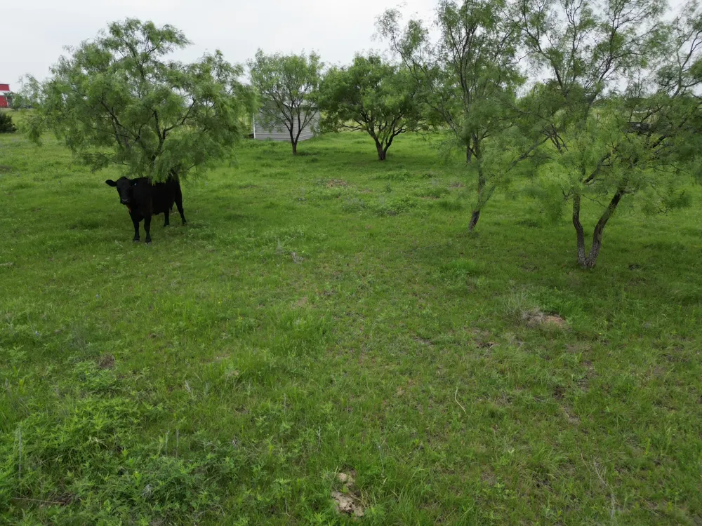 2238 County Road 2109 Lometa, TX 76853