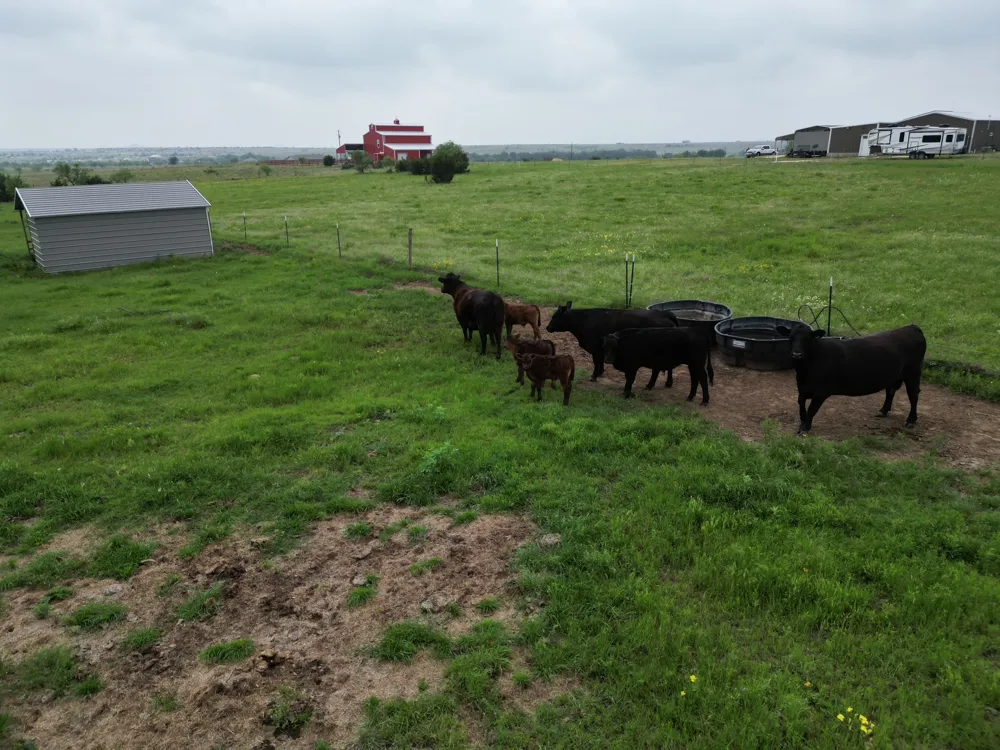 2238 County Road 2109 Lometa, TX 76853