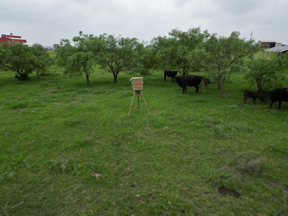 2238 County Road 2109 Lometa, TX 76853
