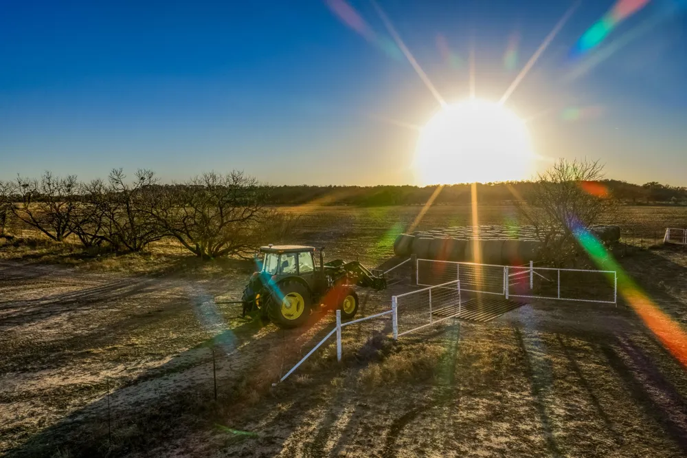 2387 Fm 503 Coleman, TX 76834