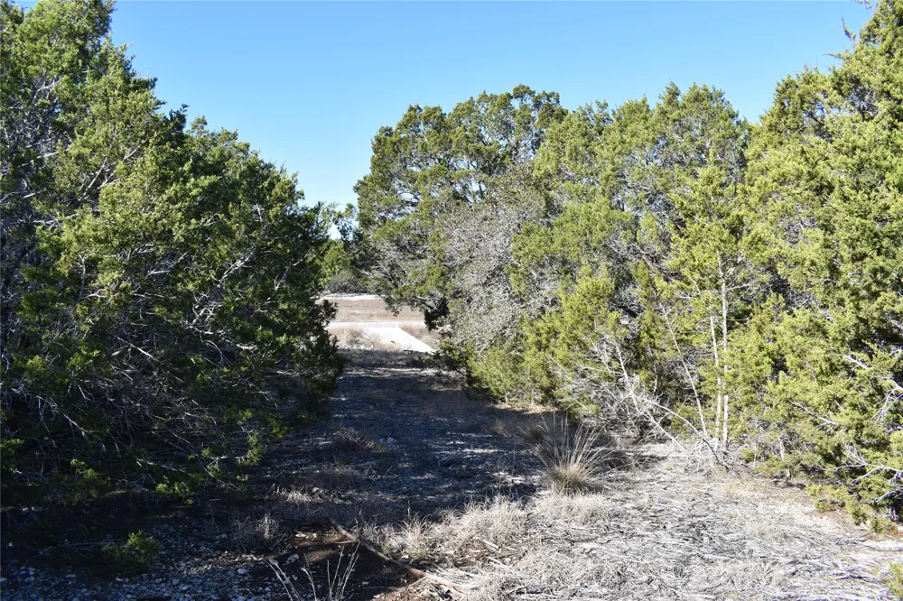 35 Riparian Elm Road Bertram, TX 78605