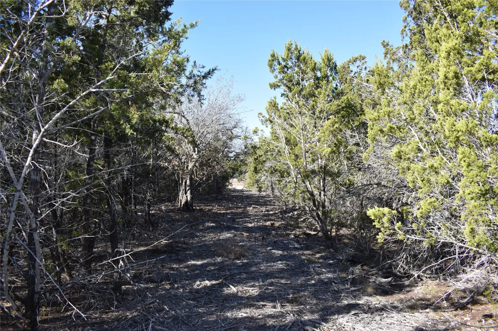 35 Riparian Elm Road Bertram, TX 78605