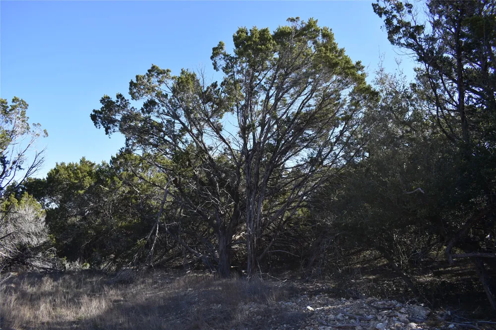 35 Riparian Elm Road Bertram, TX 78605