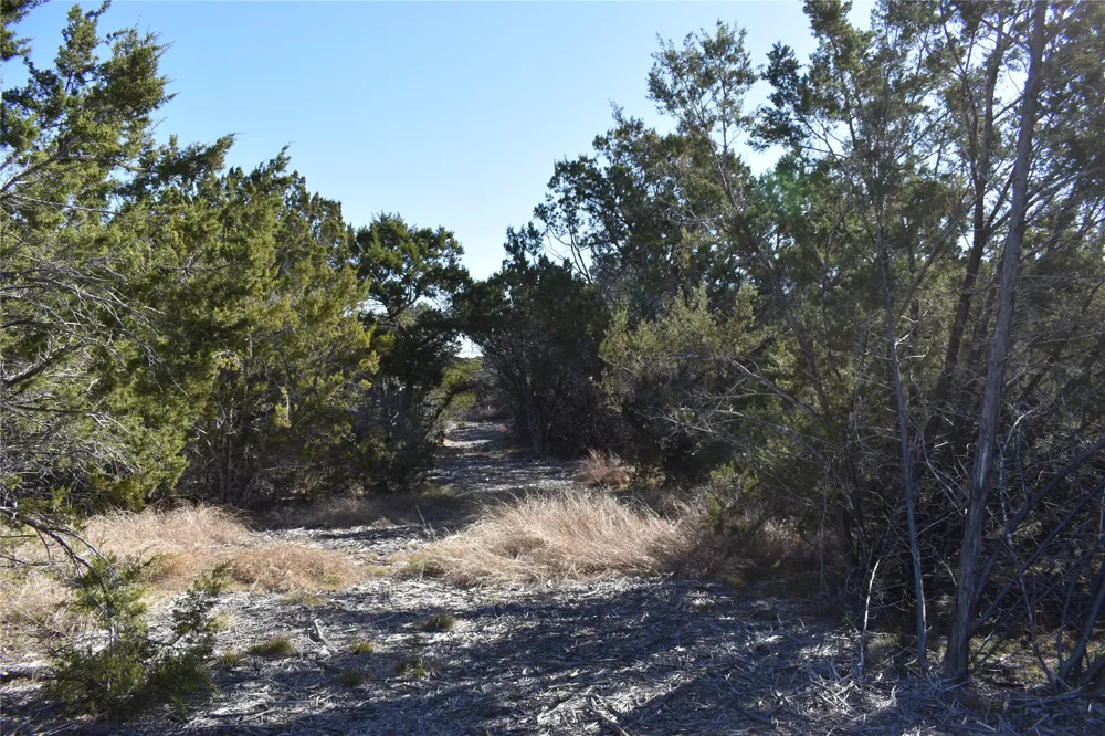 35 Riparian Elm Road Bertram, TX 78605
