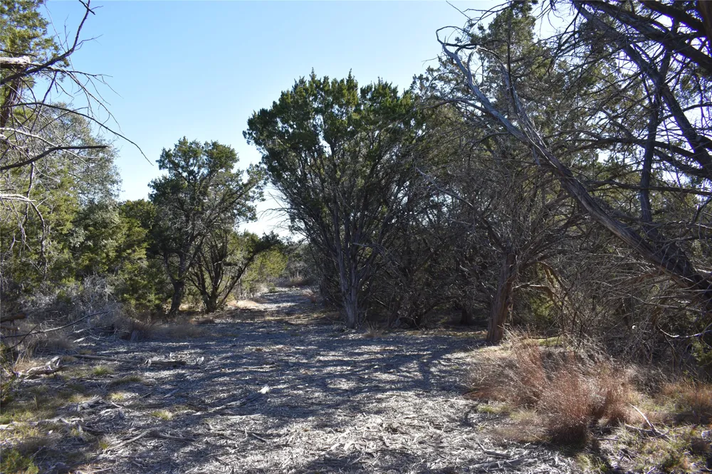 35 Riparian Elm Road Bertram, TX 78605