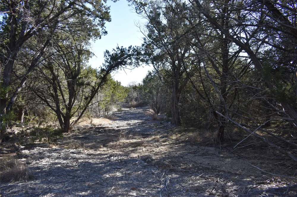 35 Riparian Elm Road Bertram, TX 78605