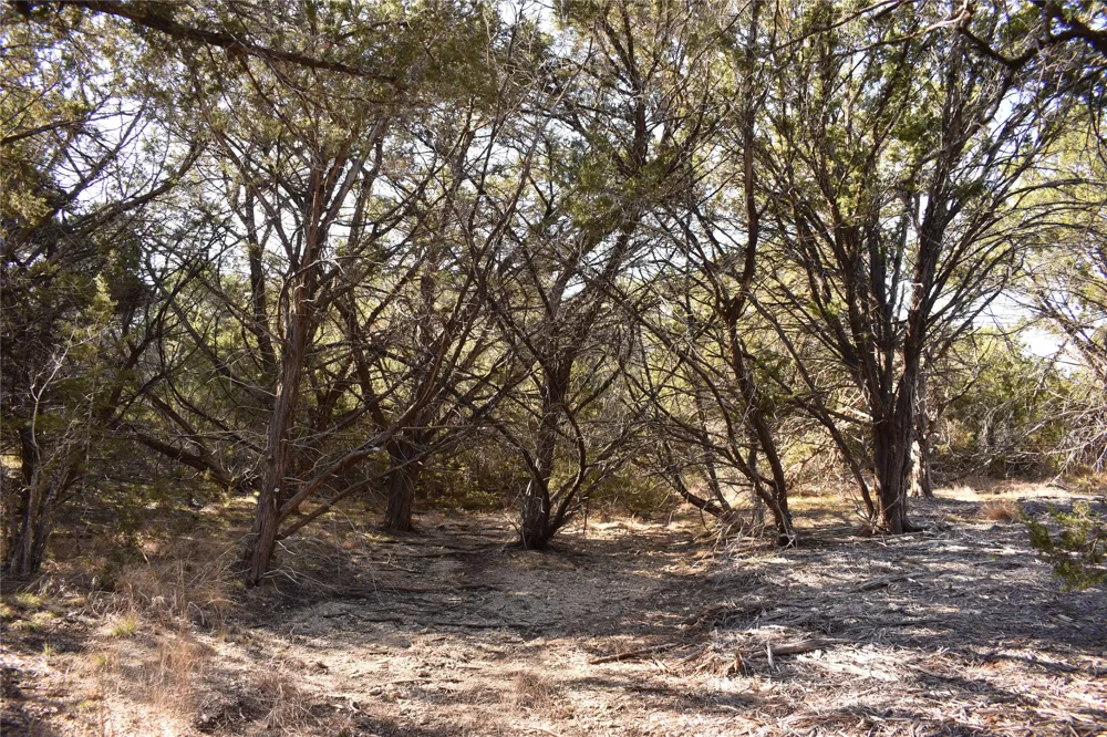 35 Riparian Elm Road Bertram, TX 78605