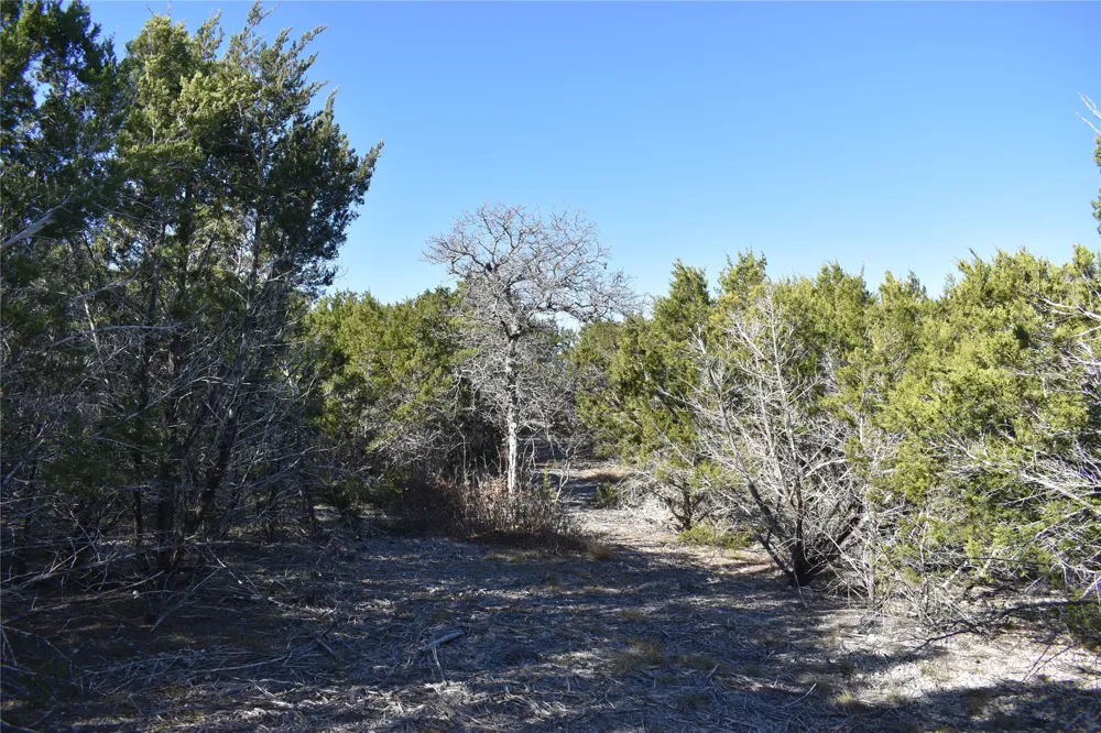 35 Riparian Elm Road Bertram, TX 78605
