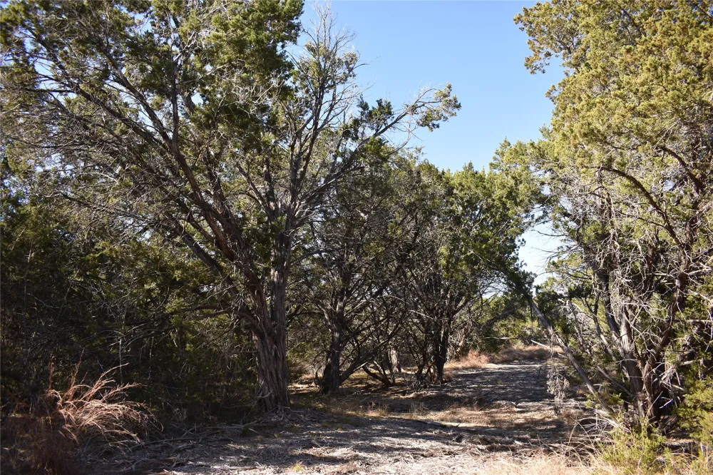 35 Riparian Elm Road Bertram, TX 78605