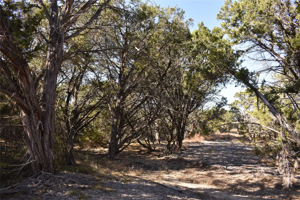 35 Riparian Elm Road Bertram, TX 78605