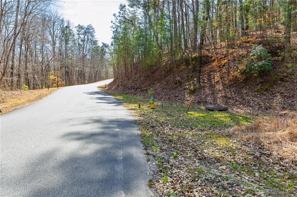 53 Somerset Lane Cartersville, GA 30121