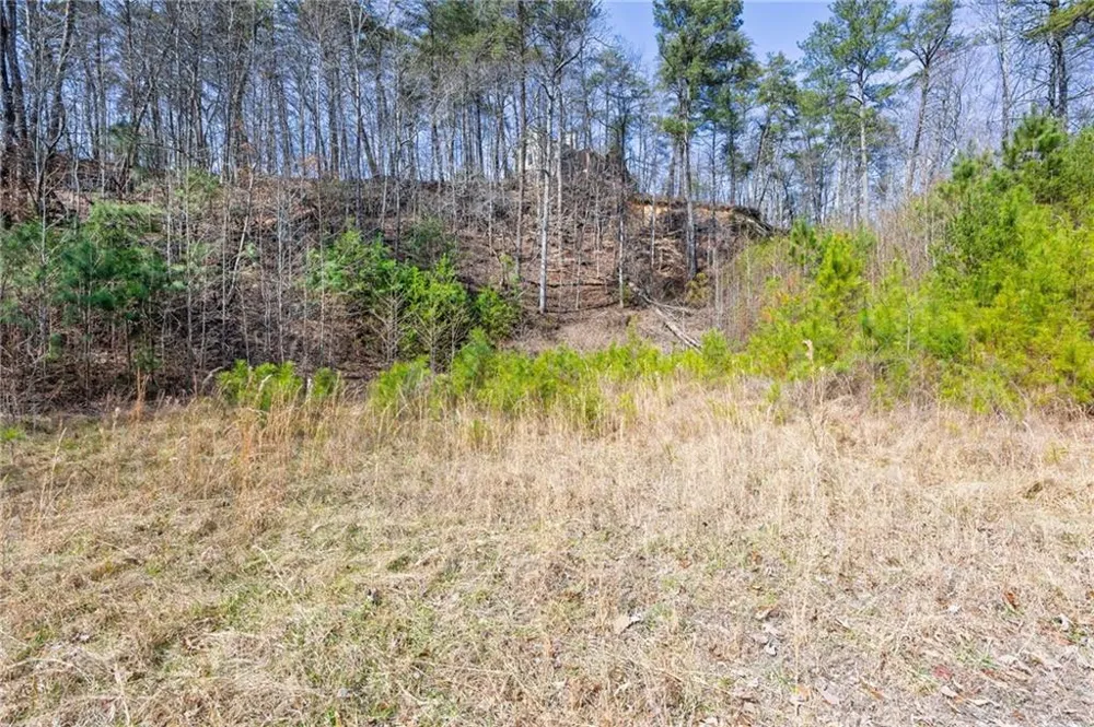 53 Somerset Lane Cartersville, GA 30121