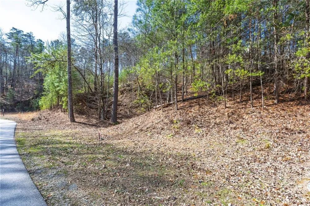 53 Somerset Lane Cartersville, GA 30121