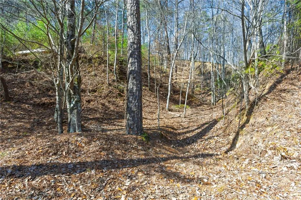 53 Somerset Lane Cartersville, GA 30121