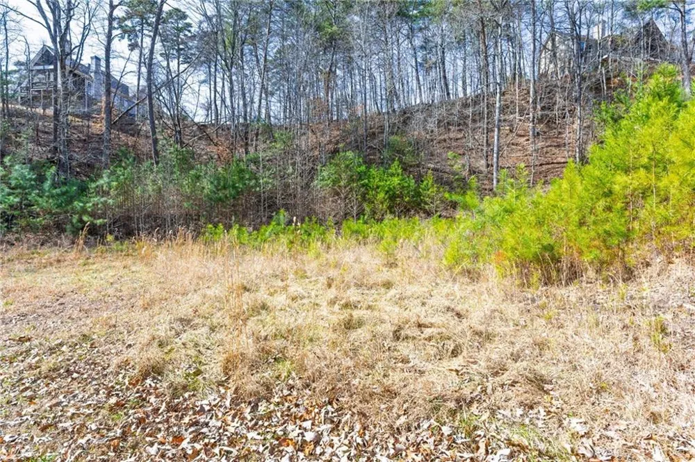 53 Somerset Lane Cartersville, GA 30121
