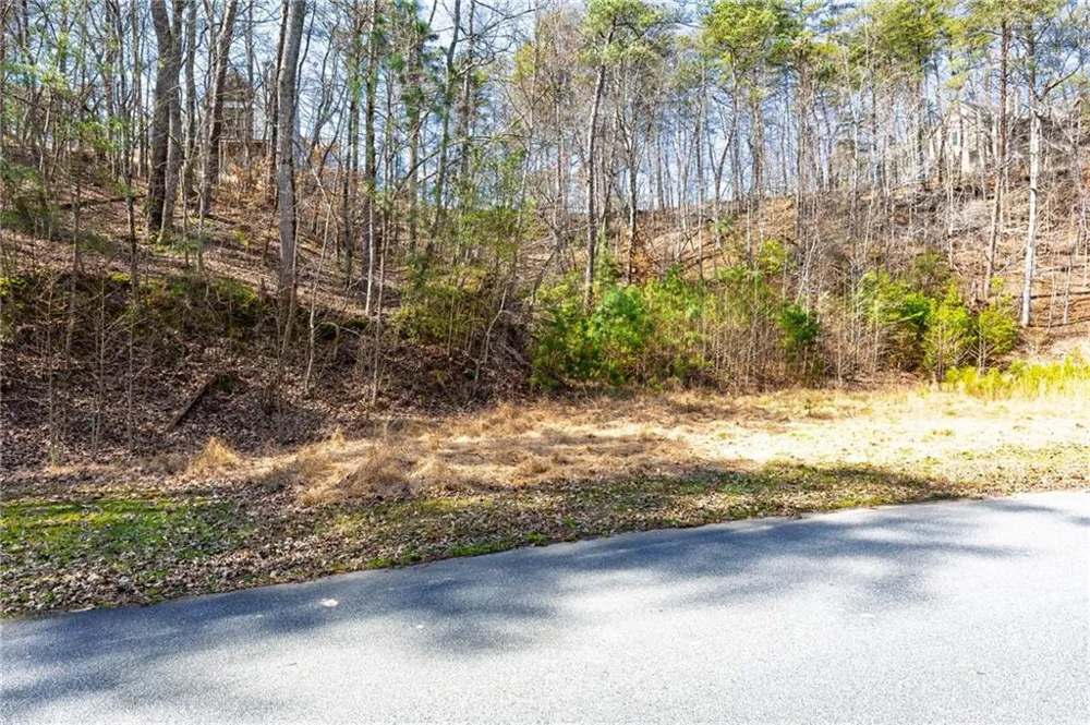 53 Somerset Lane Cartersville, GA 30121