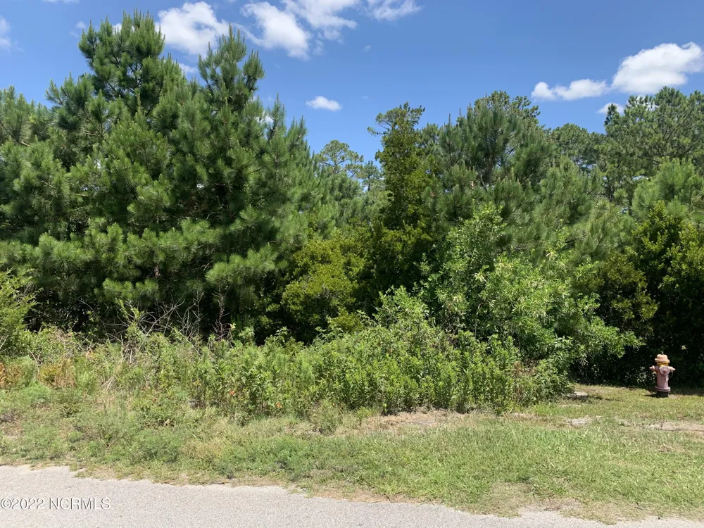 276 E Ivybridge Drive Hubert, NC 28539