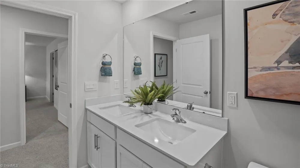 4038 Apollo Lane Snow Camp, NC 27349