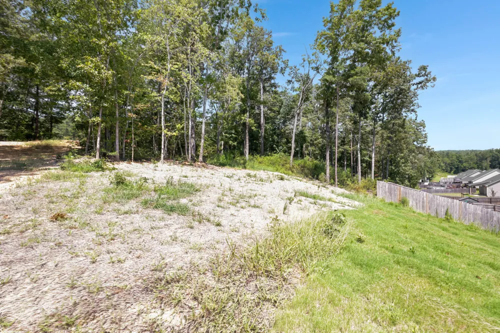 6583 Long Horn Street Birchwood, TN 37308