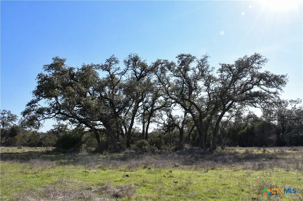 8789 FM 306 New Braunfels, TX 78132