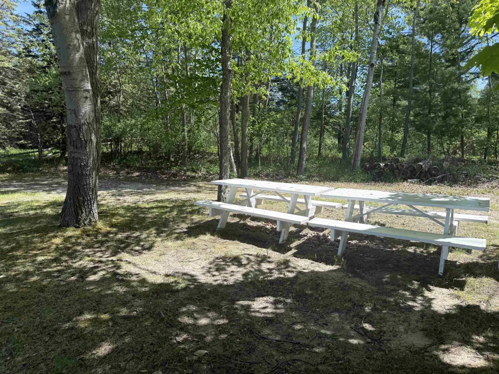 8923 SE Torch Lake Drive Helena Township, MI 49612