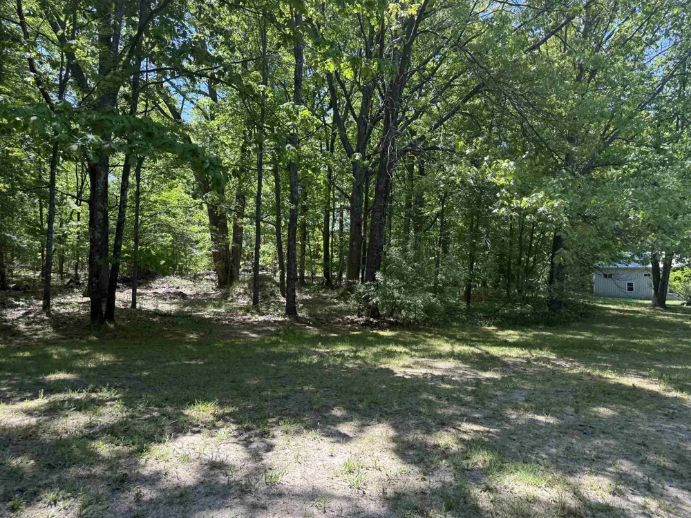 8923 SE Torch Lake Drive Helena Township, MI 49612