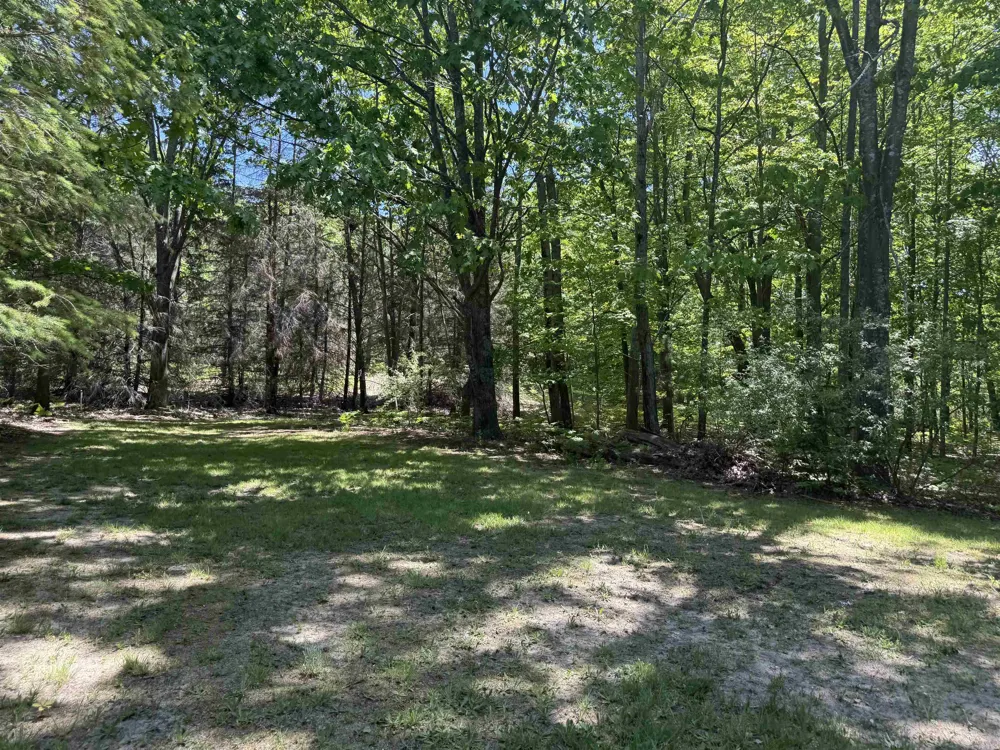 8923 SE Torch Lake Drive Helena Township, MI 49612