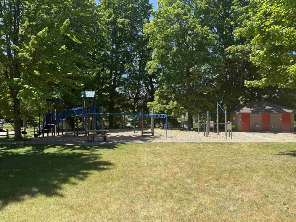 8923 SE Torch Lake Drive Helena Township, MI 49612