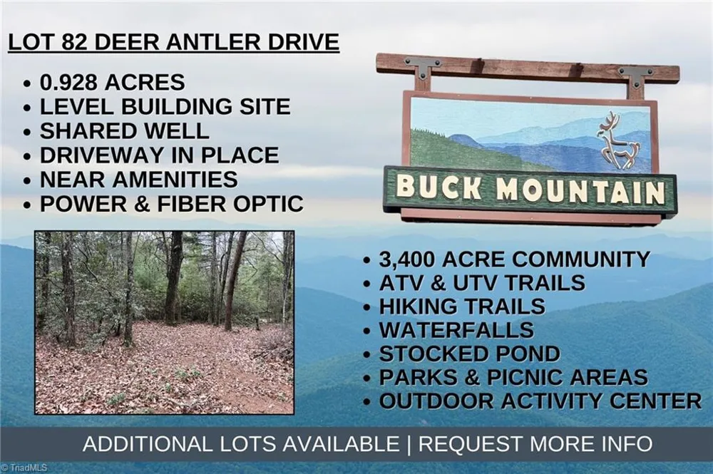 Lot 82 Deer Antler Drive Purlear, NC 28665
