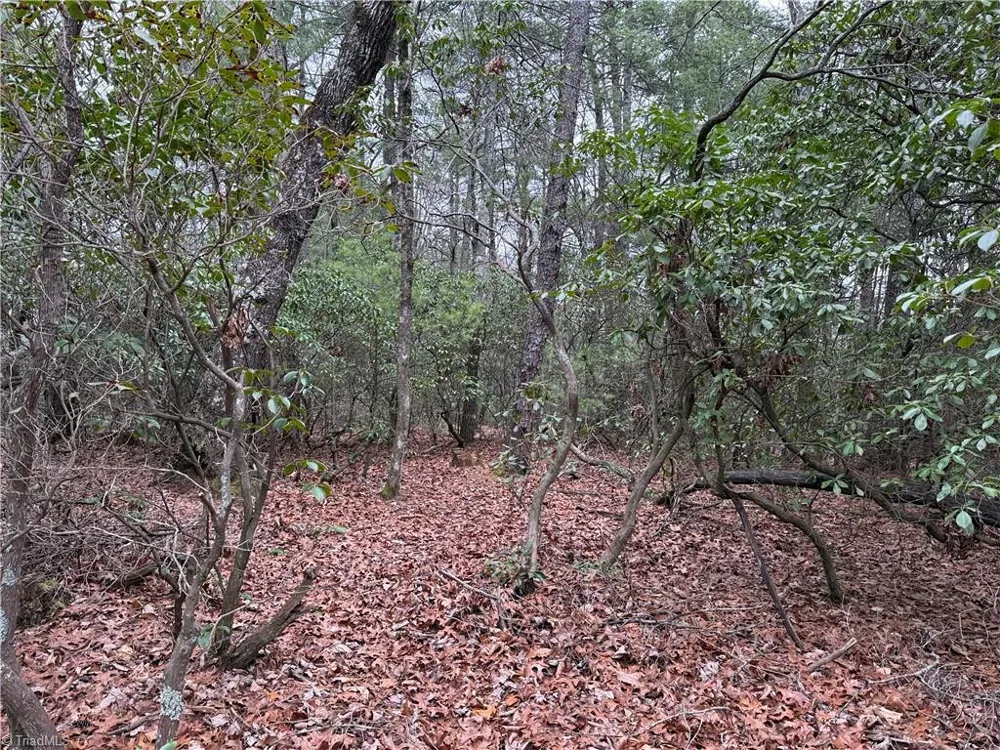 Lot 82 Deer Antler Drive Purlear, NC 28665