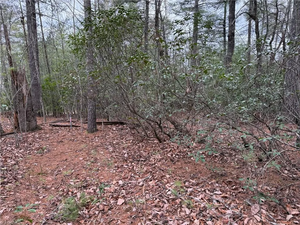 Lot 82 Deer Antler Drive Purlear, NC 28665
