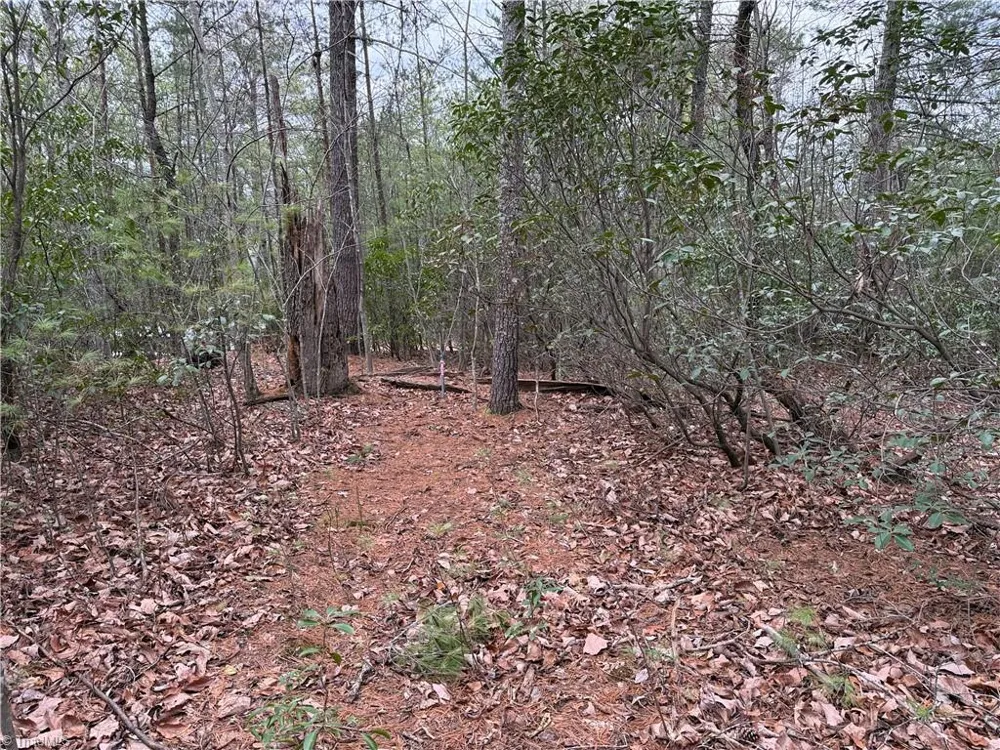 Lot 82 Deer Antler Drive Purlear, NC 28665