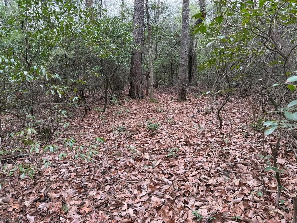 Lot 82 Deer Antler Drive Purlear, NC 28665