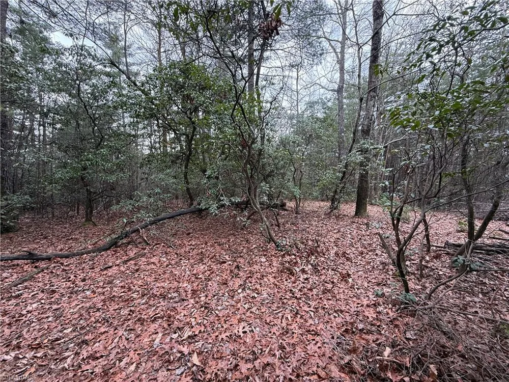 Lot 82 Deer Antler Drive Purlear, NC 28665