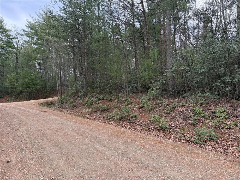 Lot 82 Deer Antler Drive Purlear, NC 28665