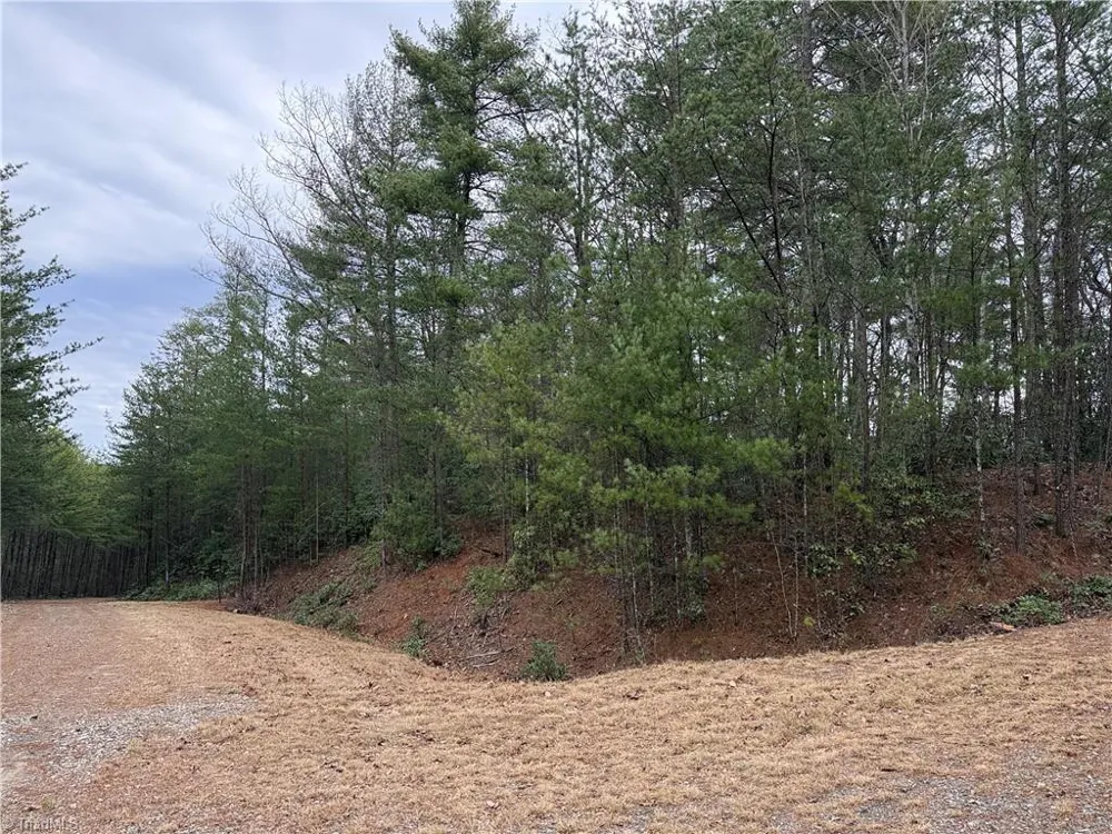 Lot 82 Deer Antler Drive Purlear, NC 28665
