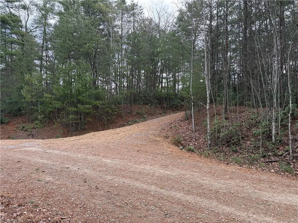 Lot 82 Deer Antler Drive Purlear, NC 28665