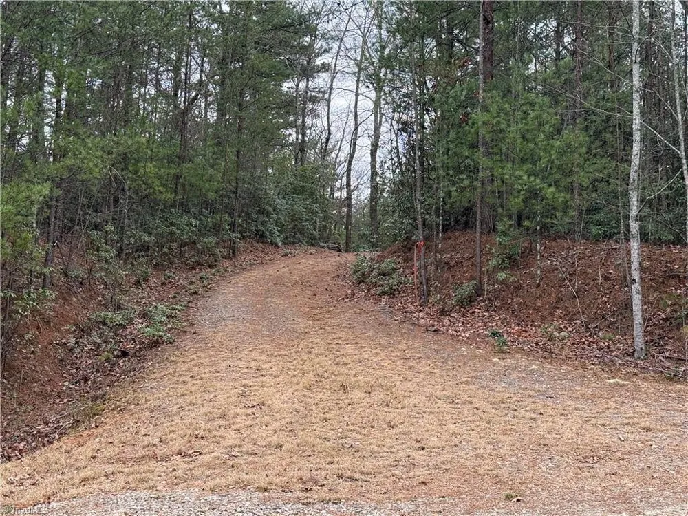 Lot 82 Deer Antler Drive Purlear, NC 28665