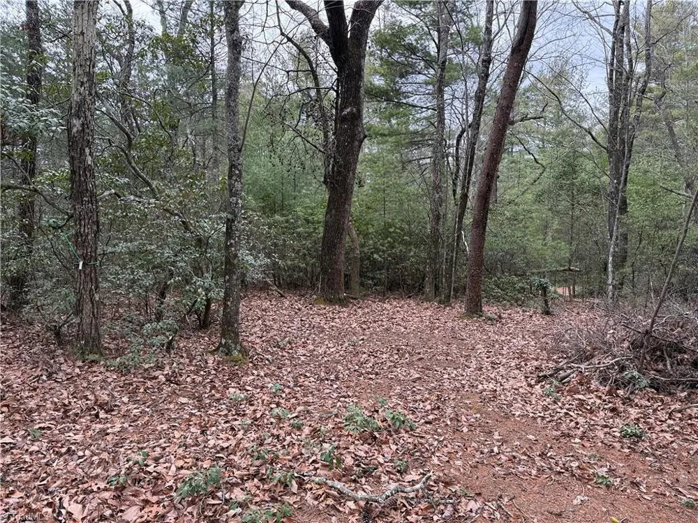 Lot 82 Deer Antler Drive Purlear, NC 28665